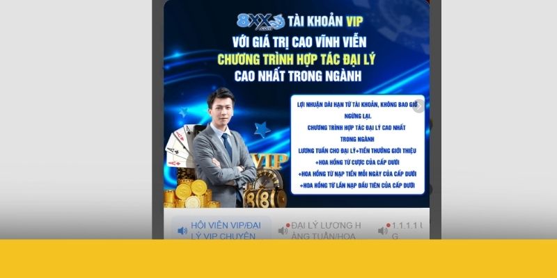 Cá cược thể thao tại 8XX